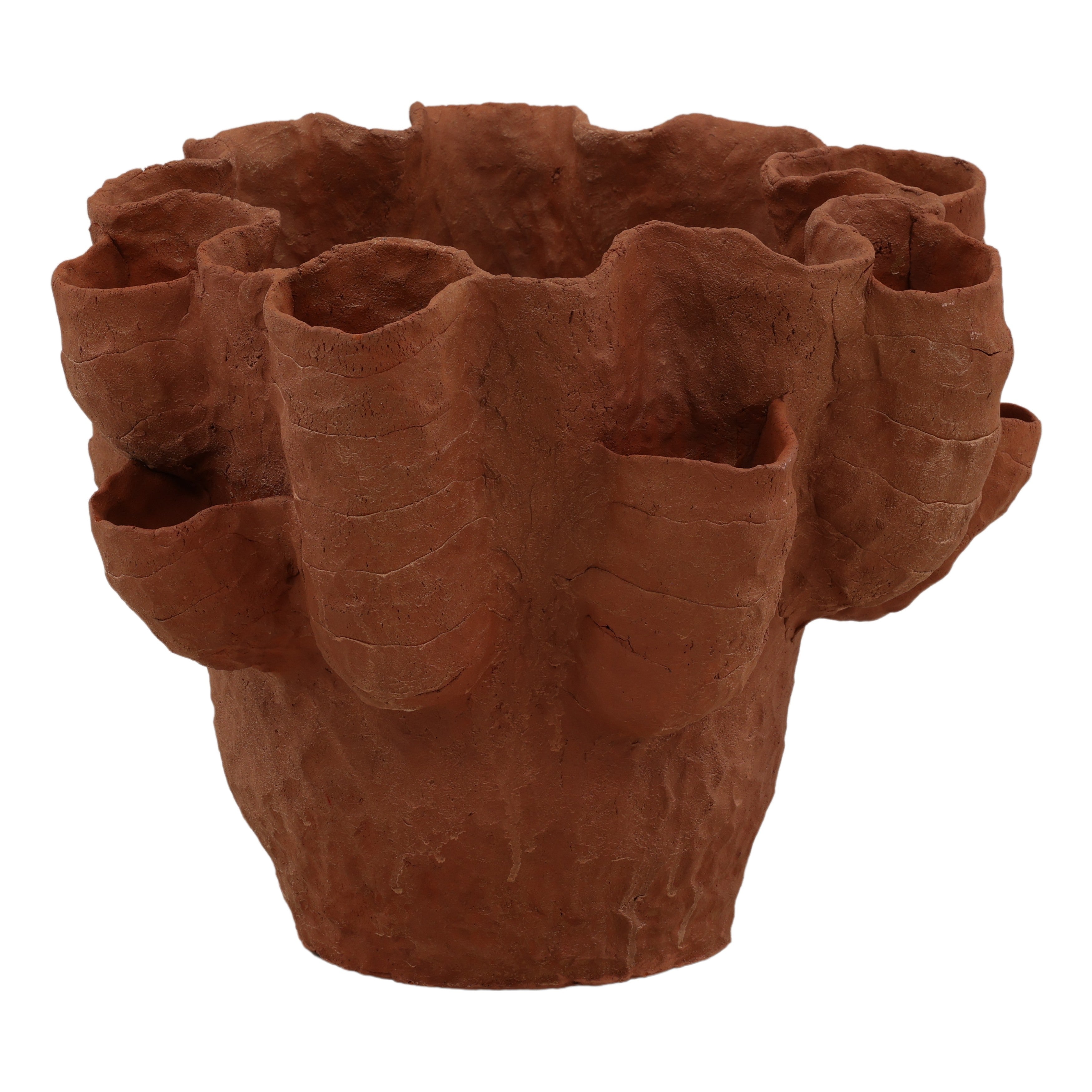 Coralia Vase