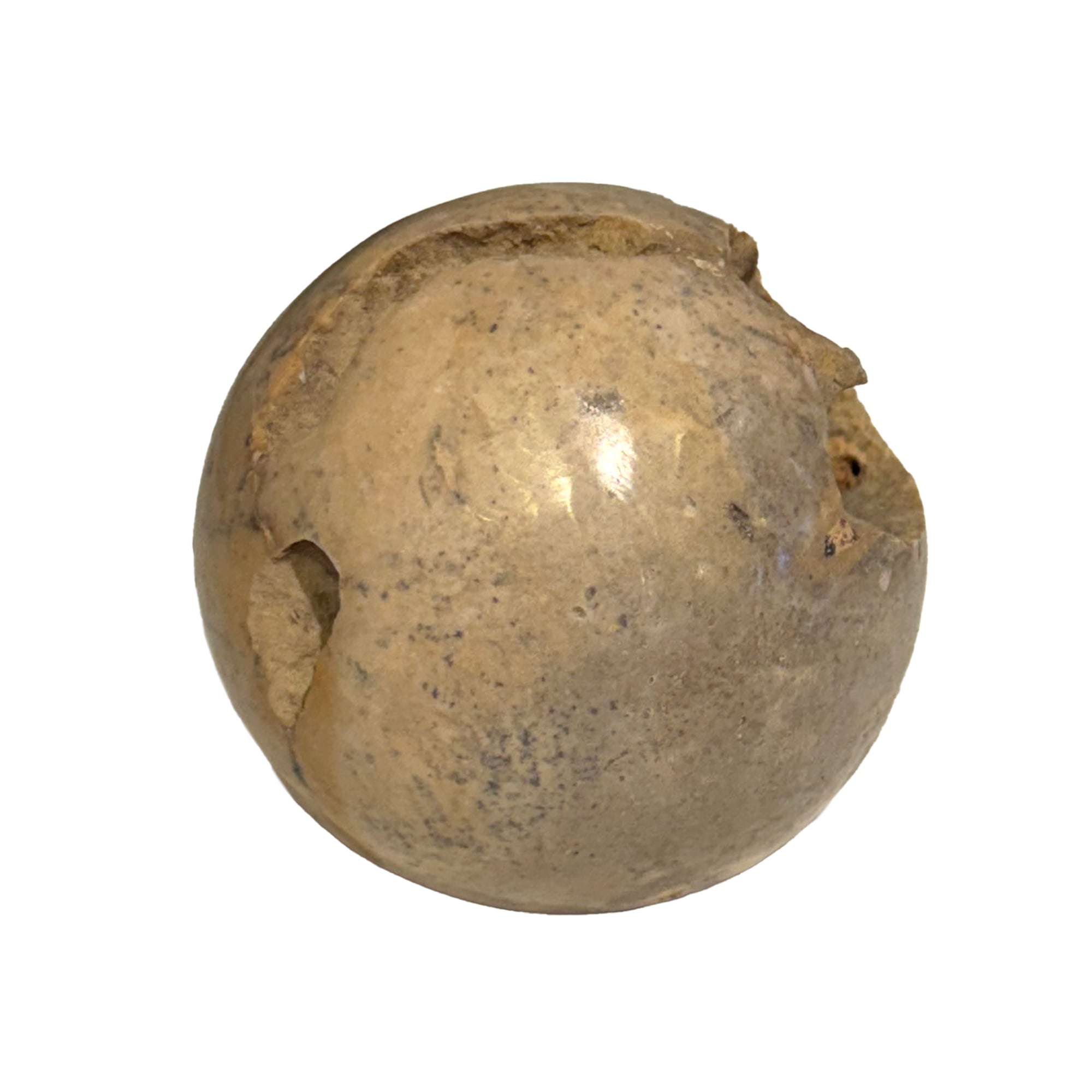 Navo Sculpture