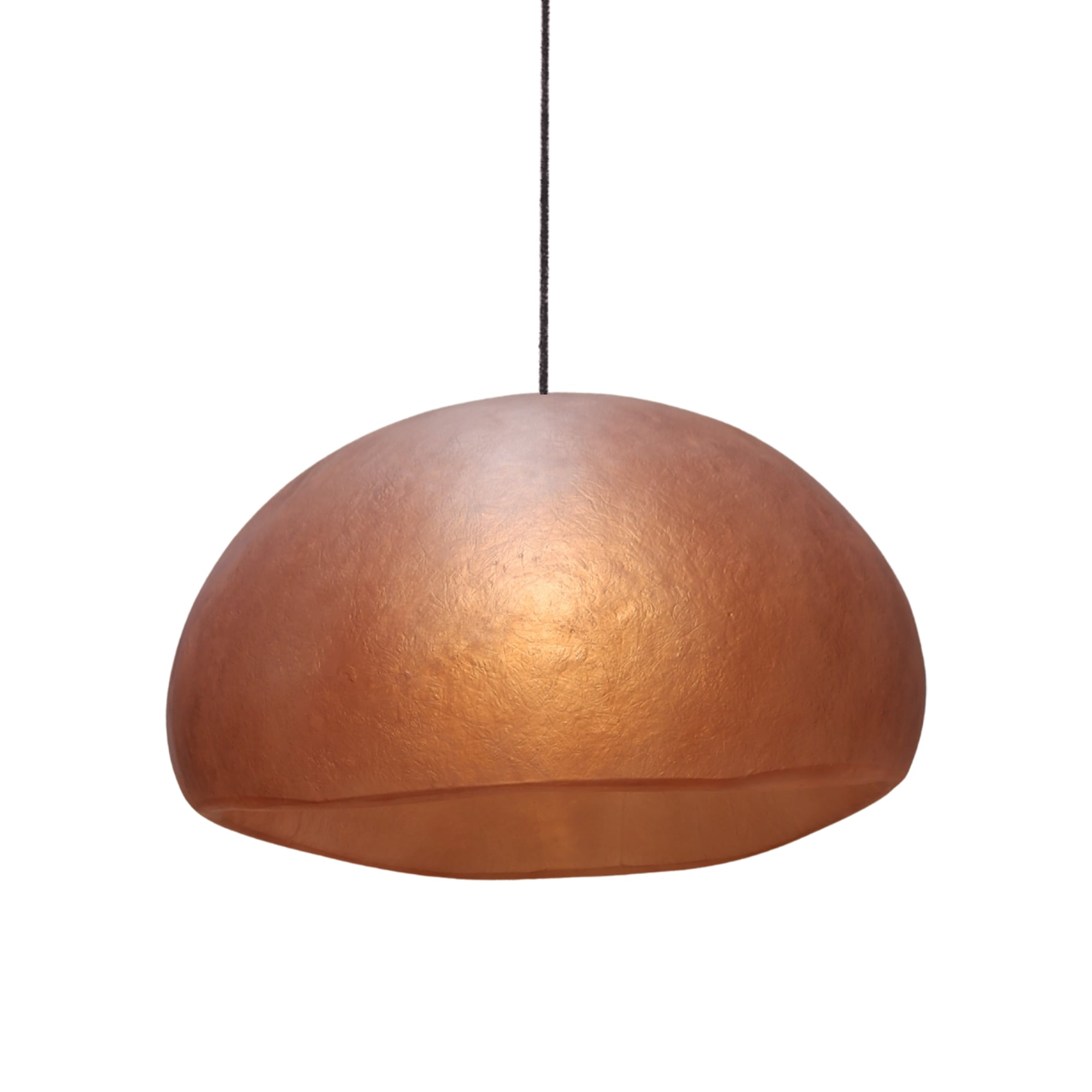 Numa Pendant Light
