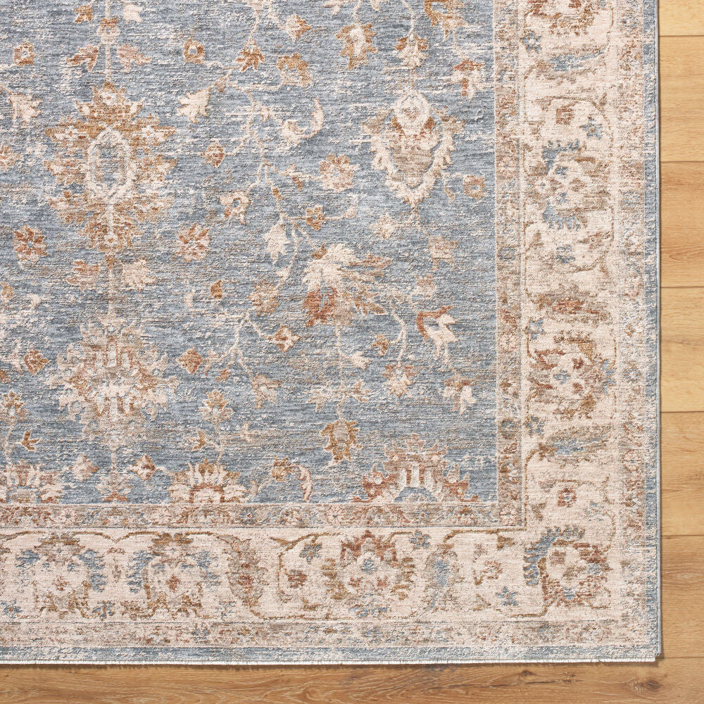 Da Vinci Blue/Tan Machine Woven Rug DVC-2307 - overhead
