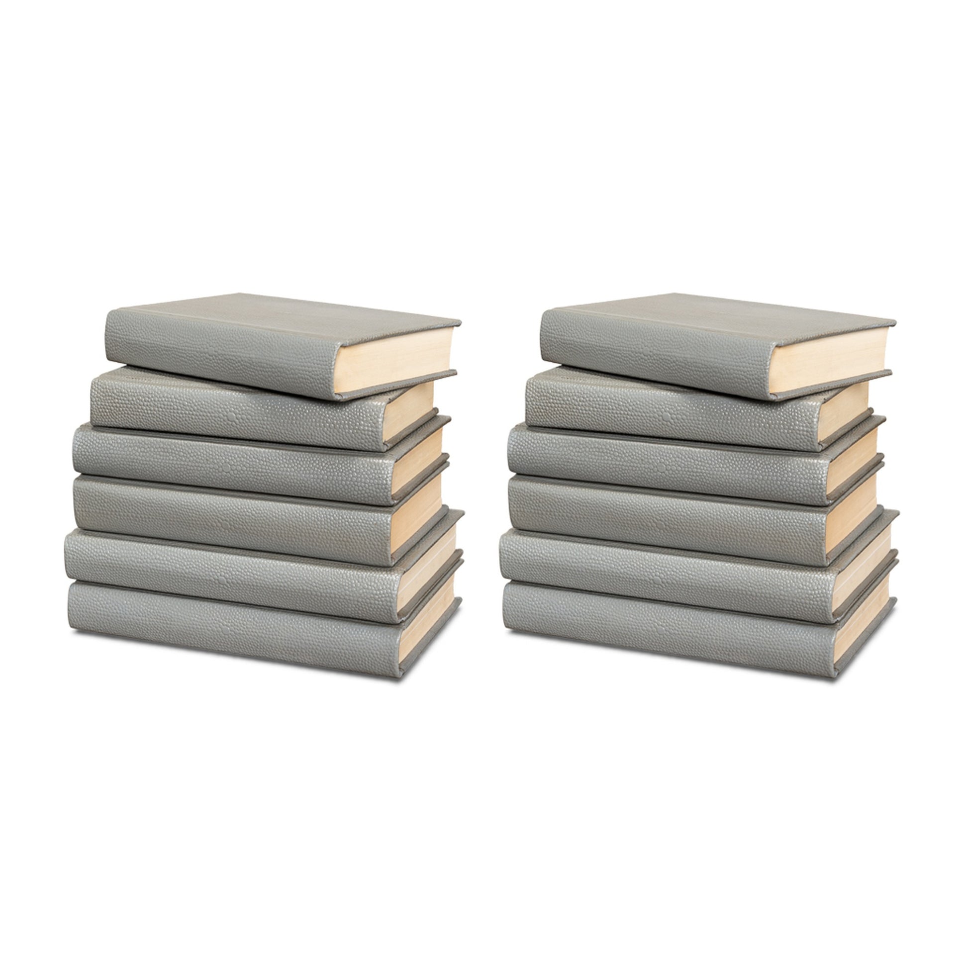 Shagreen Books, Set Of 12, Storm Grey by Sarreid Ltd