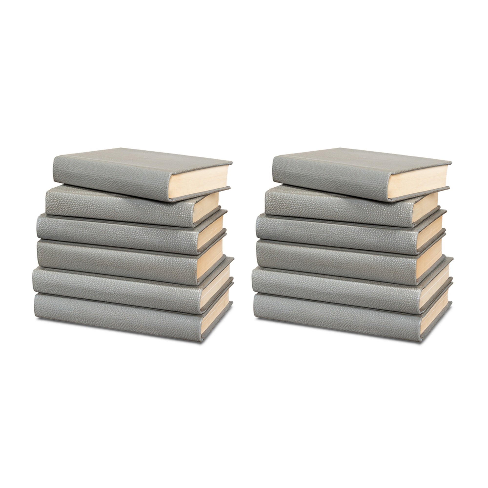 Shagreen Books, Set Of 12, Storm Grey by Sarreid Ltd