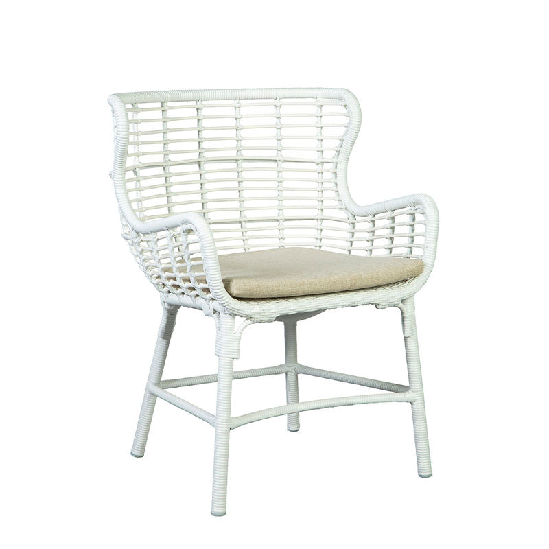 Evendale Dining Chair by Furniture Classics at ZIN Home