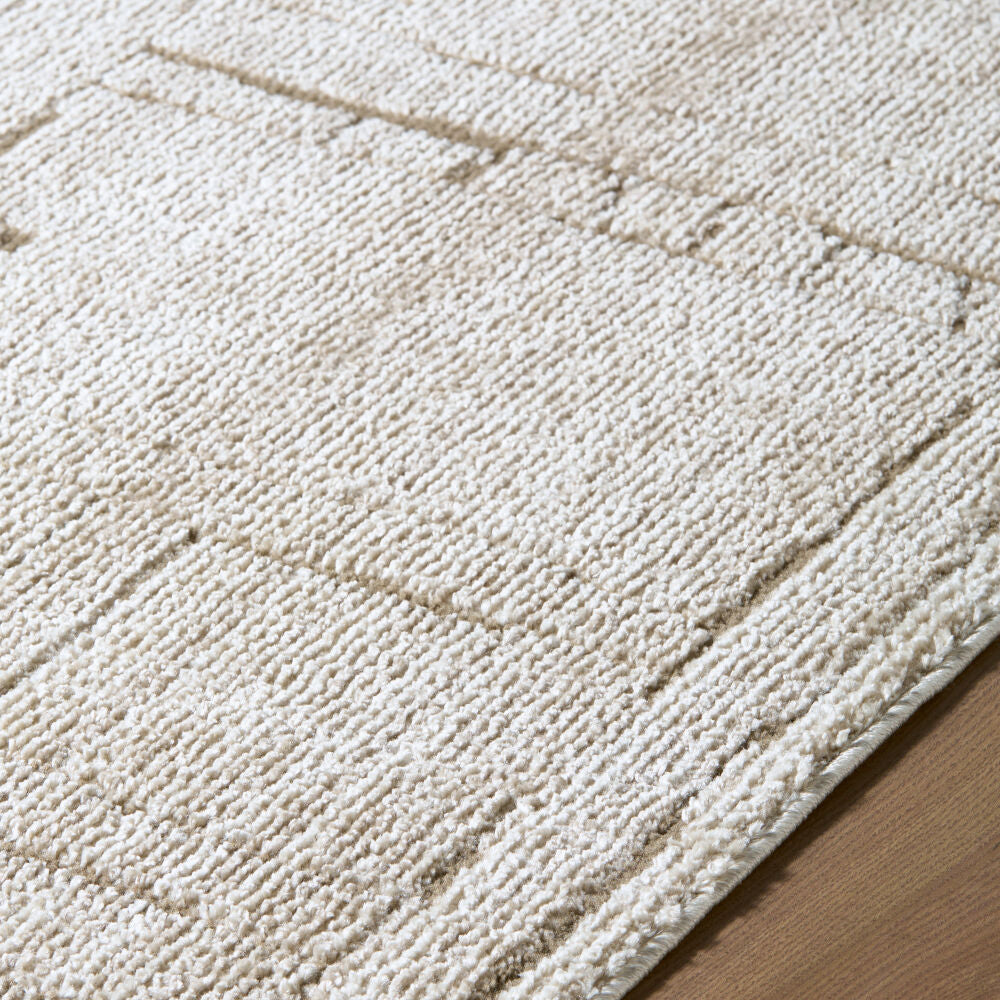 Alma Dark Brown/Taupe Machine Woven Rug EDAL-2300 - texture
