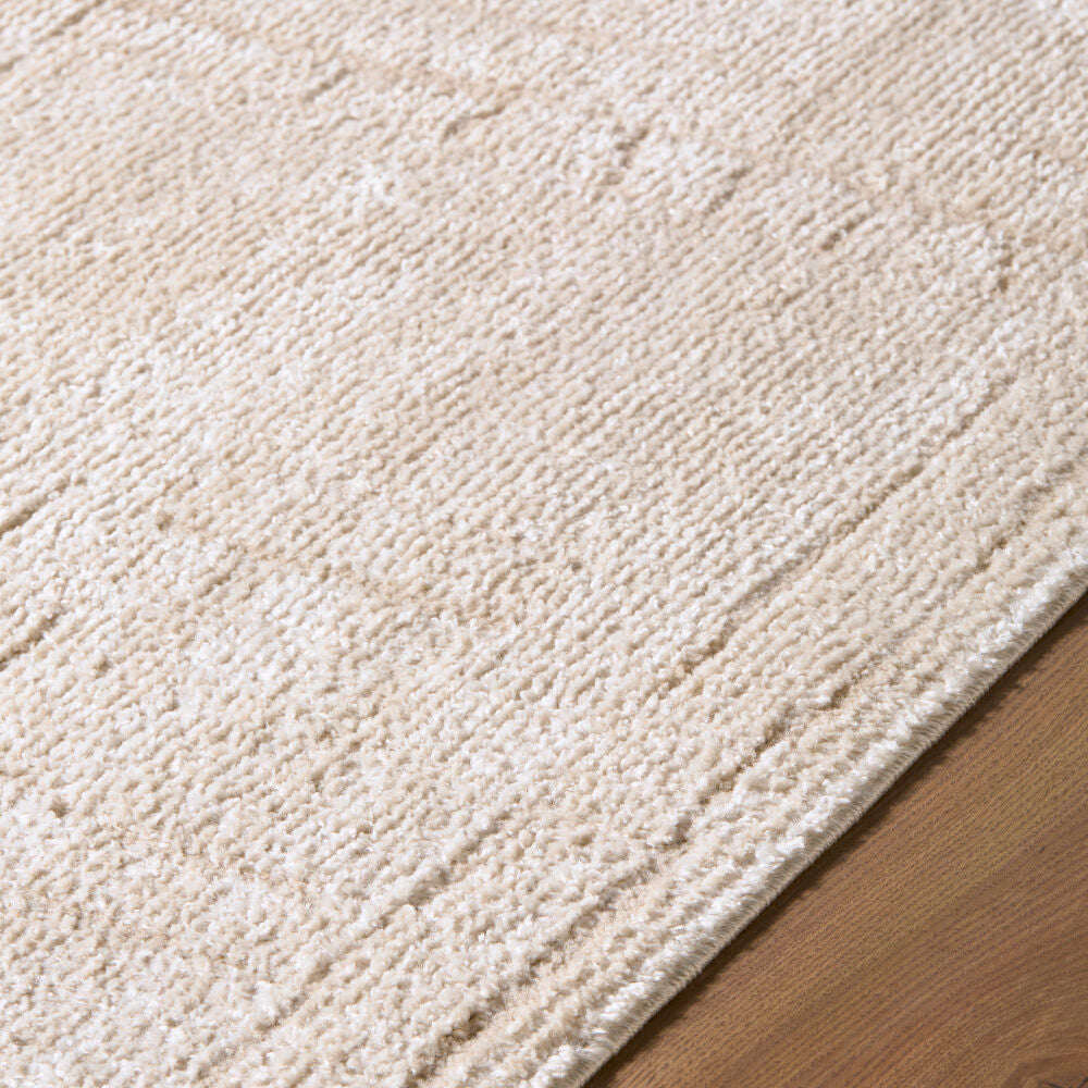 Alma Ivory/Taupe Machine Woven Rug - texture