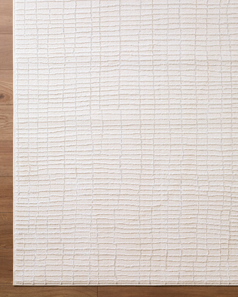 Grenelle Ivory/Silver Gray Machine Woven Rug EDGN-2304 - overhead