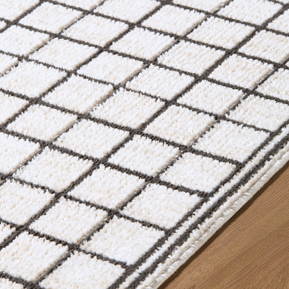Odeon Black/Ivory Machine Woven Rug - texture
