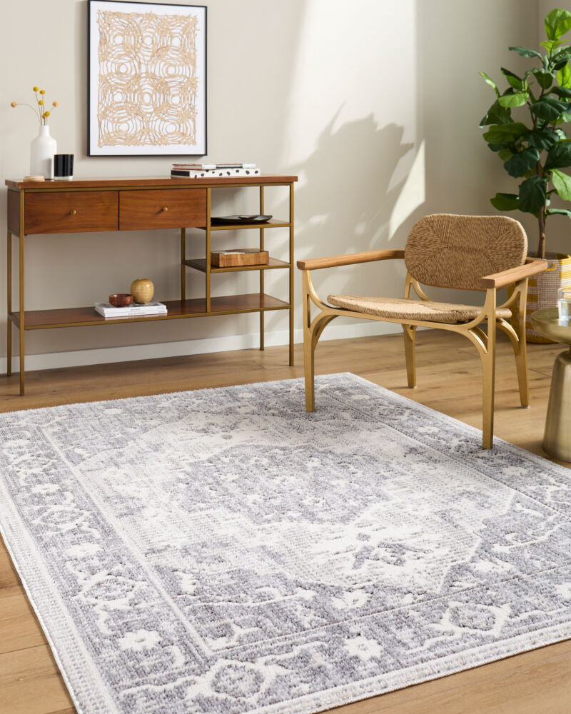 Odeon Charcoal/Medium Gray Machine Woven Rug - roomscene