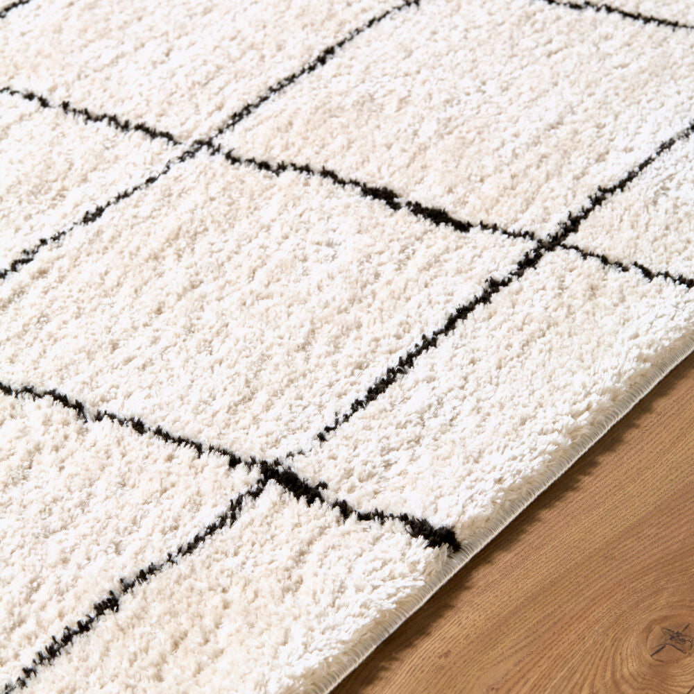 Rivoli Black/Cream Machine Woven Rug EDRV-2300 - texture