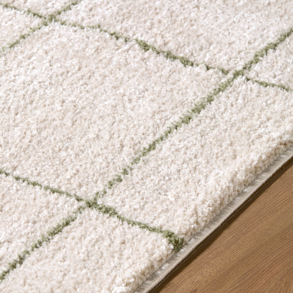 Rivoli Cream/Olive Machine Woven Rug EDRV-2301 - texture