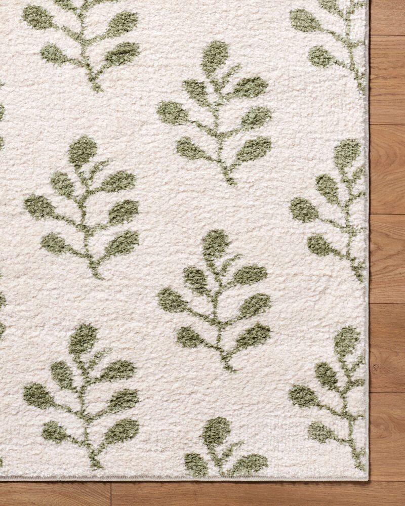 Rivoli Cream/Olive Machine Woven Rug EDRV-2304 - overhead