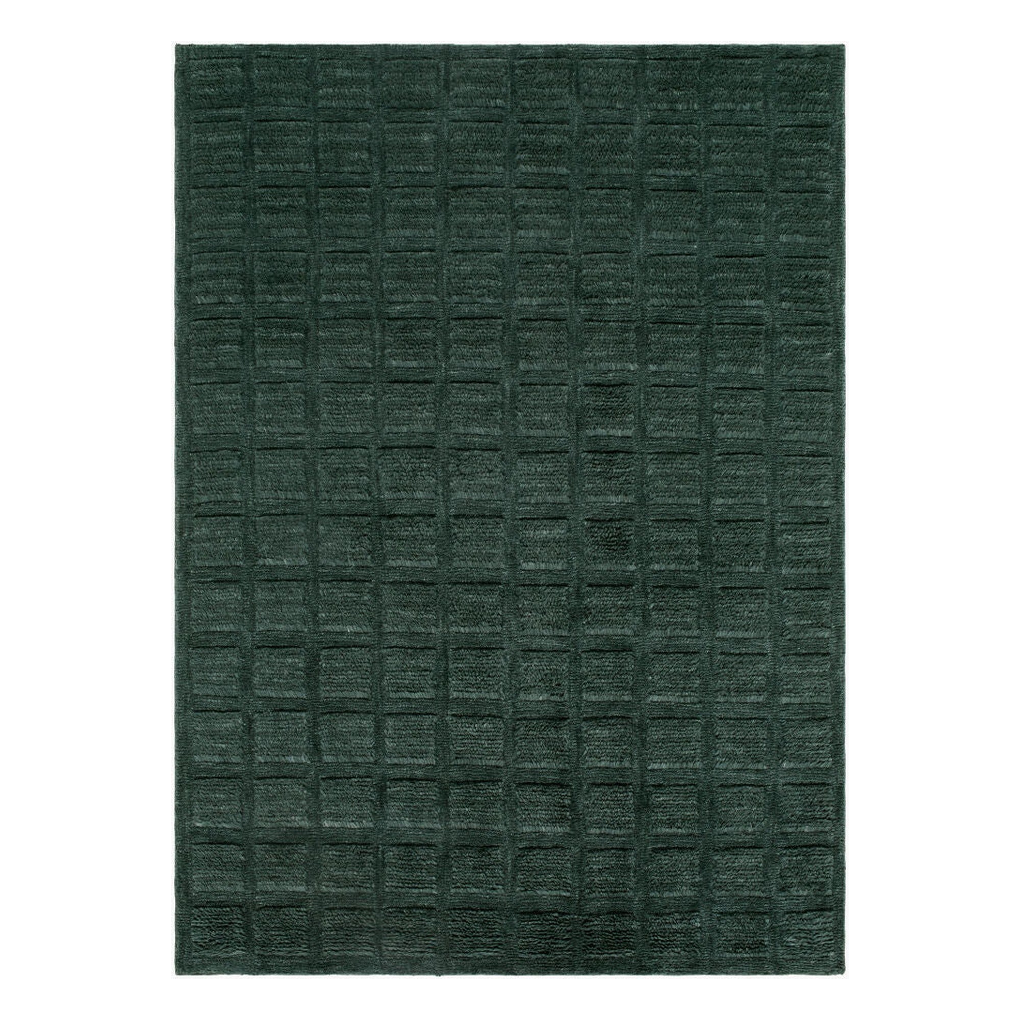 Eleve Handmade Rug EEV-2302 - 2' x 3'