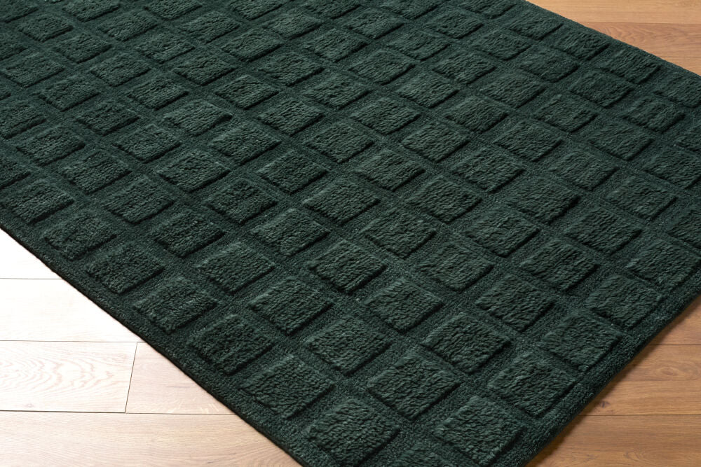 Eleve Handmade Rug EEV-2302 - corner