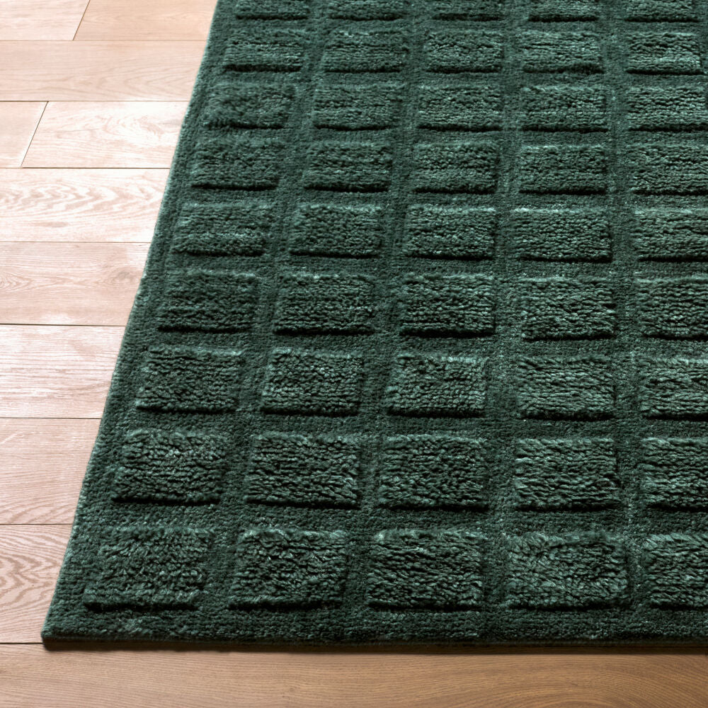 Eleve Handmade Rug EEV-2302 - front