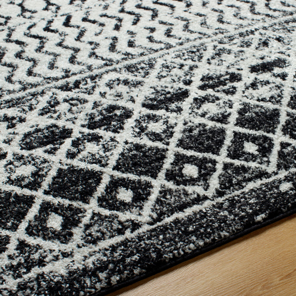 Elaziz Black/White Machine Woven Rug - texture
