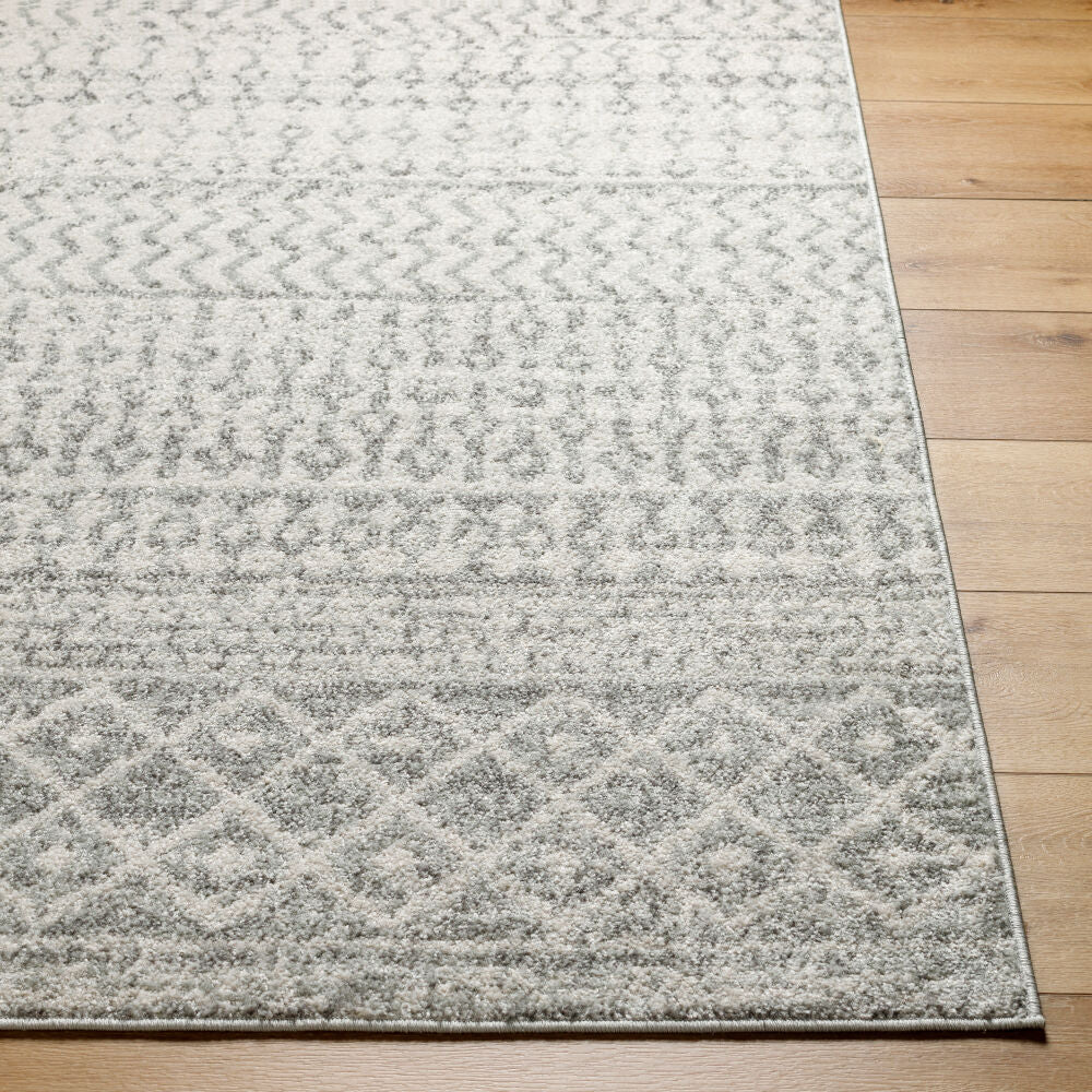 Elaziz Gray/White Machine Woven Rug ELZ-2308 - front
