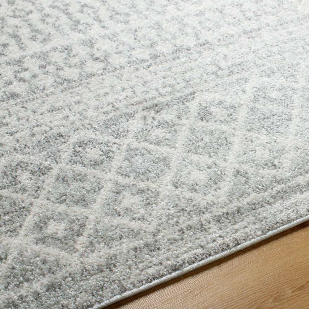 Elaziz Gray/White Machine Woven Rug ELZ-2308 - texture
