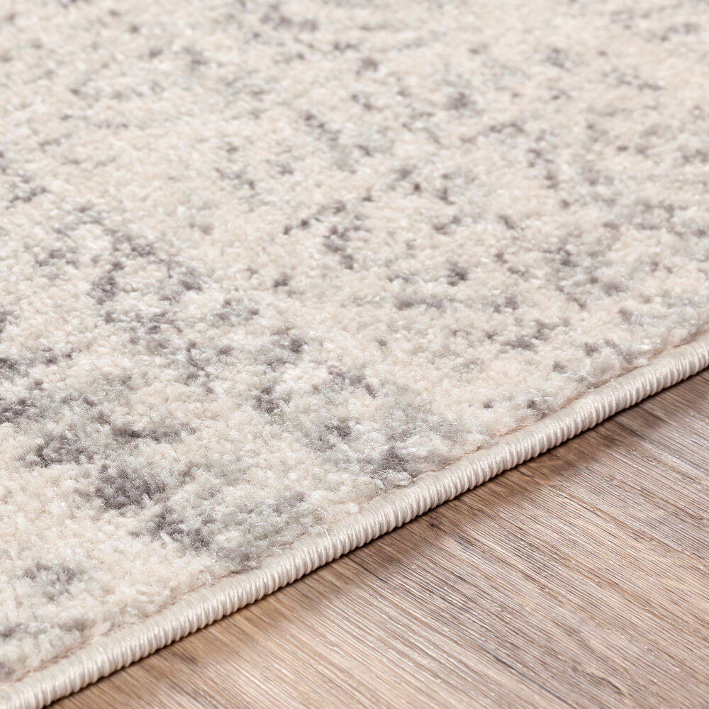 Elaziz Gray/White Machine Woven Rug ELZ-2354 - texture