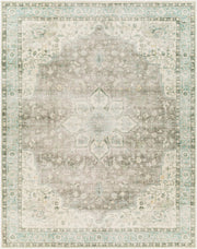 Erin Aqua/Wheat Machine Woven Rug - 2' x 2'11"
