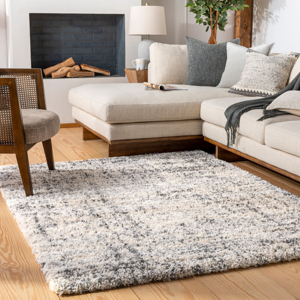 Eskimo Shag Black/Light Gray Machine Woven Rug ESG-2300 - roomscene