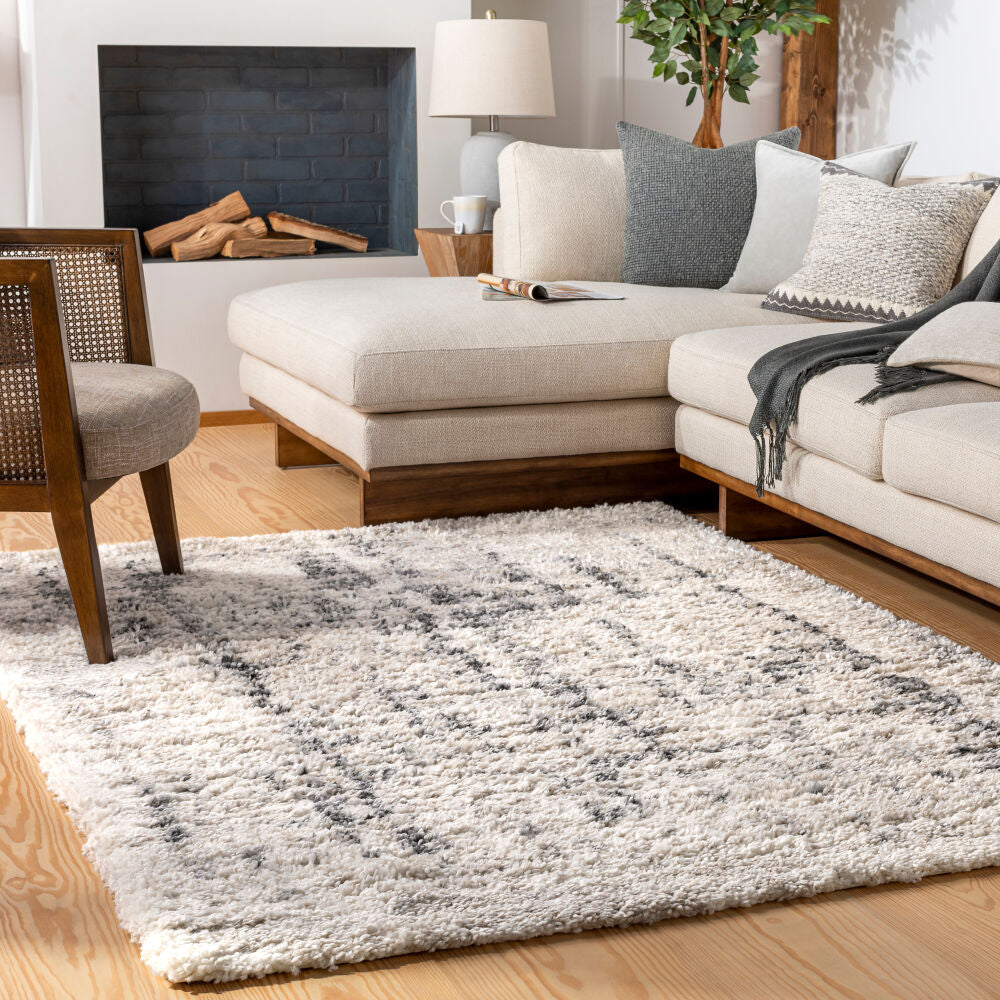 Eskimo Shag Black/Light Gray Machine Woven Rug ESG-2306 - roomscene