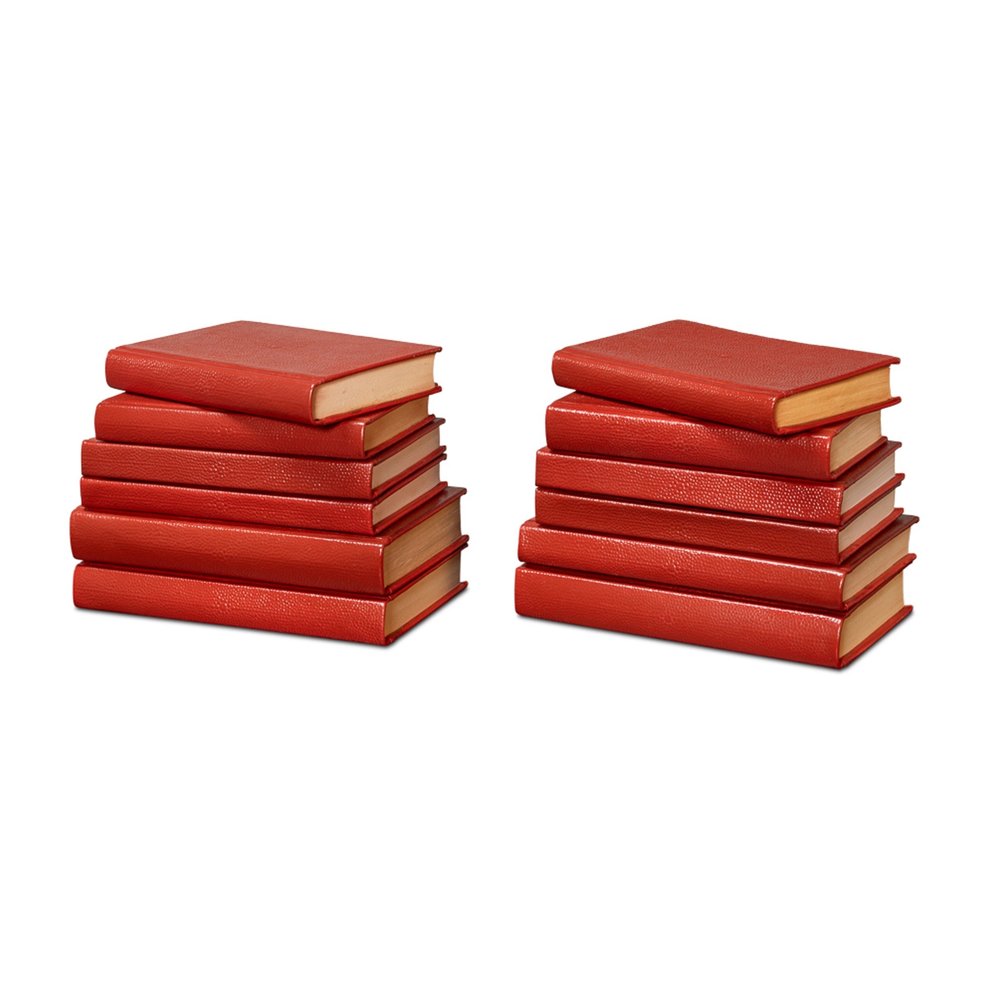 Shagreen Books, Set Of 12, Rooibos Tea by Sarreid Ltd