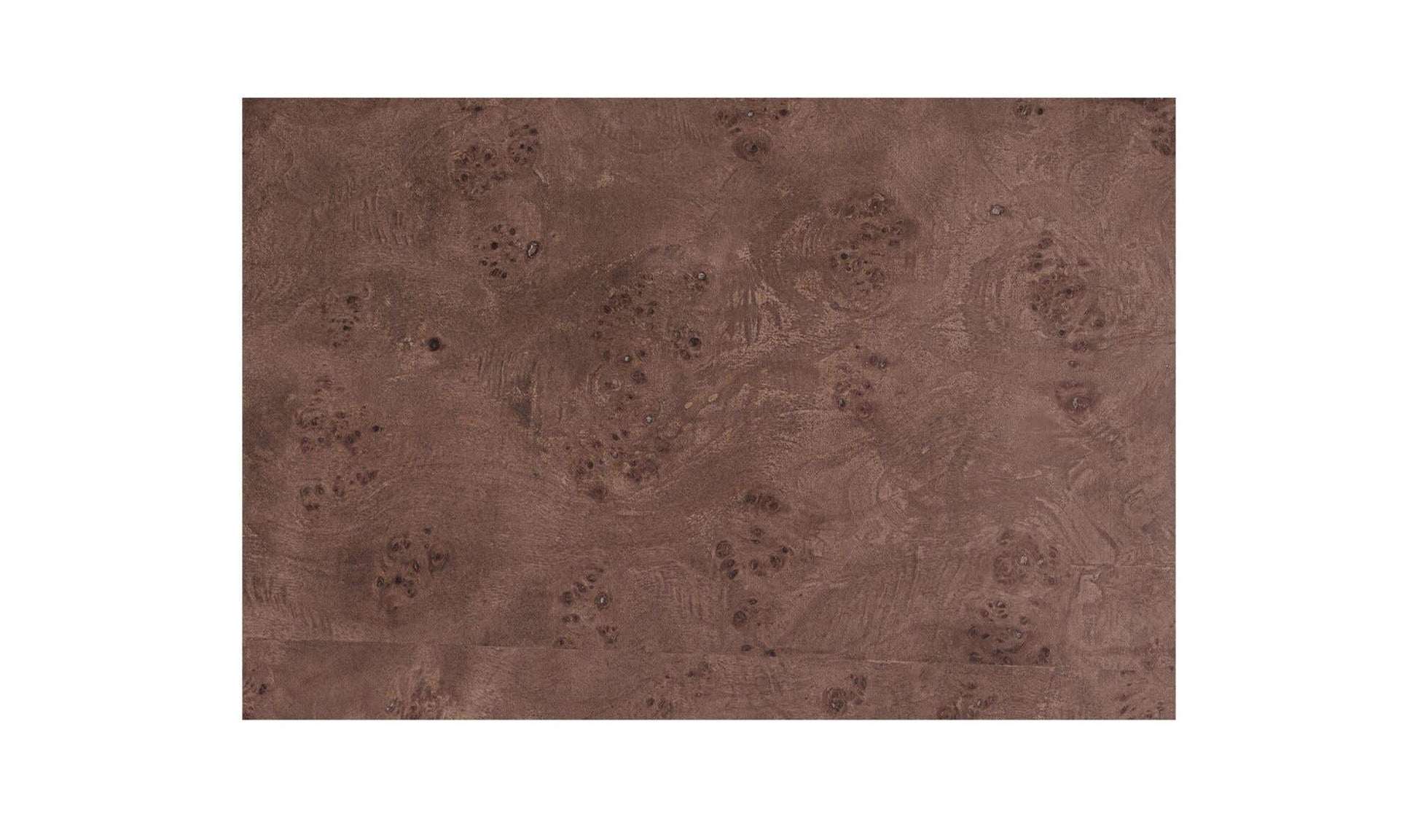 Gibson Coffee Table Burl by Moe's Home Collection - view 11