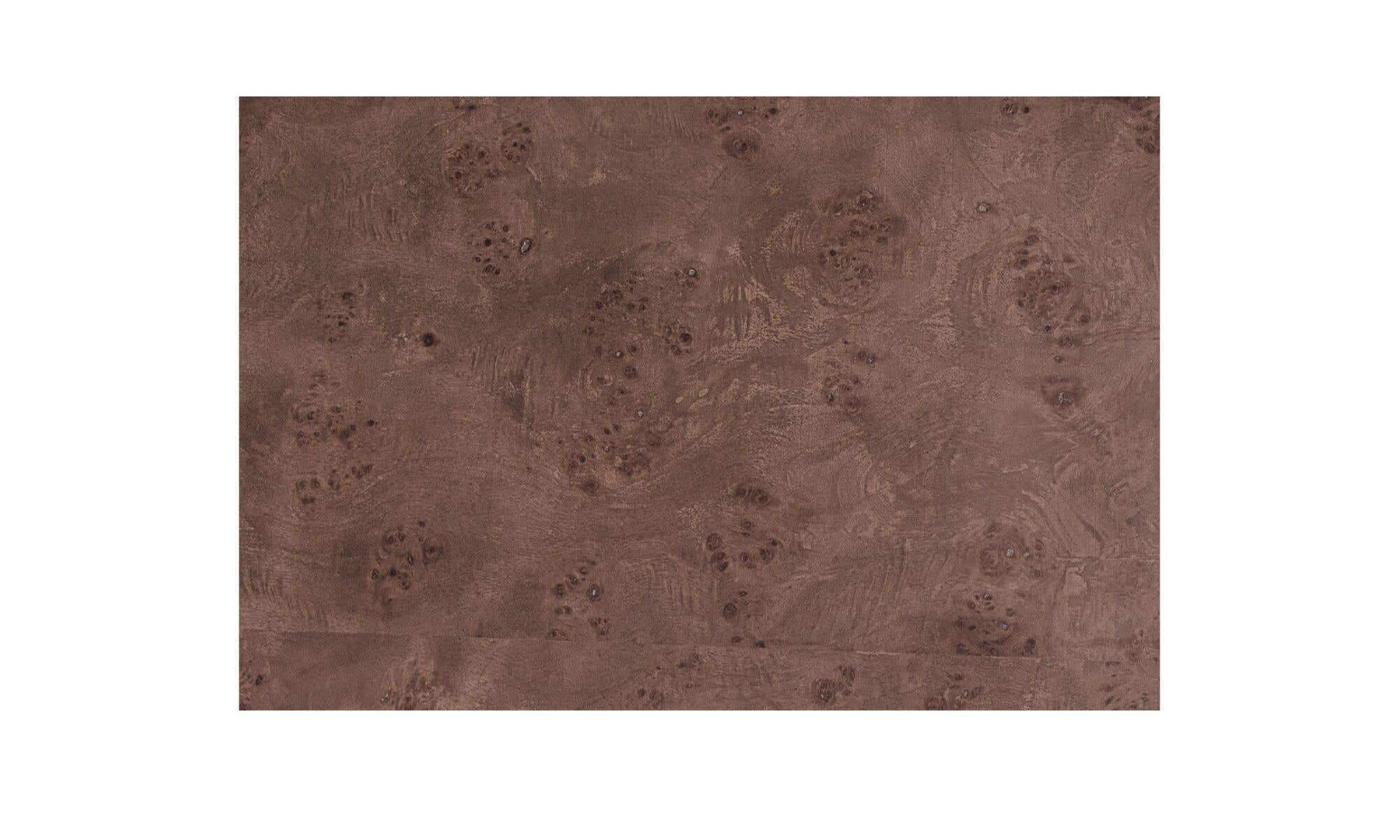 Gibson Coffee Table Burl by Moe's Home Collection - view 11