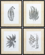 Ferne Framed Art FERNE-001 - 1"H x 17"W x 21"D, 1"H x 17"W x 21"D, 1"H x 17"W x 21"D