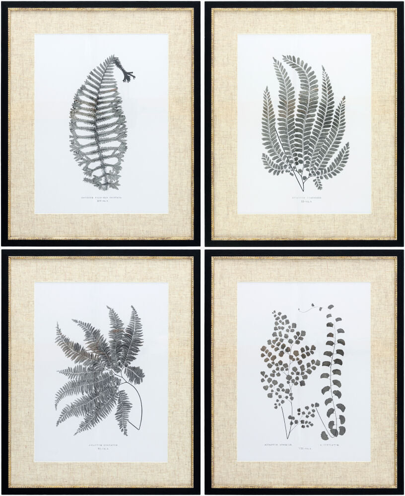 Ferne Framed Art FERNE-001 - 1"H x 17"W x 21"D, 1"H x 17"W x 21"D, 1"H x 17"W x 21"D