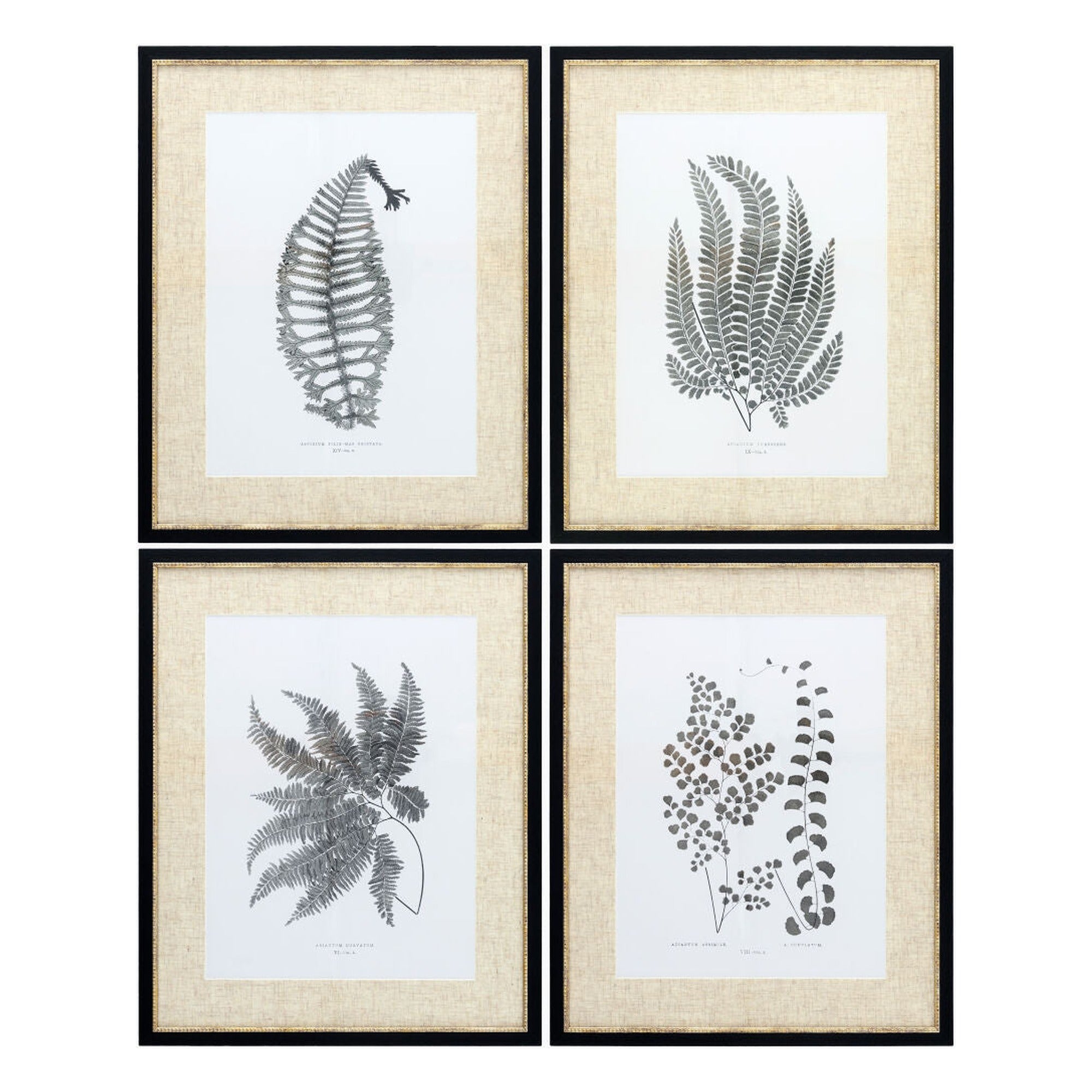 Ferne Framed Art FERNE-001 - 1"H x 17"W x 21"D, 1"H x 17"W x 21"D, 1"H x 17"W x 21"D