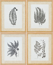 Ferne Framed Art FERNE-002 - 1"H x 17"W x 21"D, 1"H x 17"W x 21"D, 1"H x 17"W x 21"D