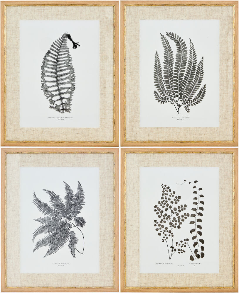 Ferne Framed Art FERNE-002 - 1"H x 17"W x 21"D, 1"H x 17"W x 21"D, 1"H x 17"W x 21"D