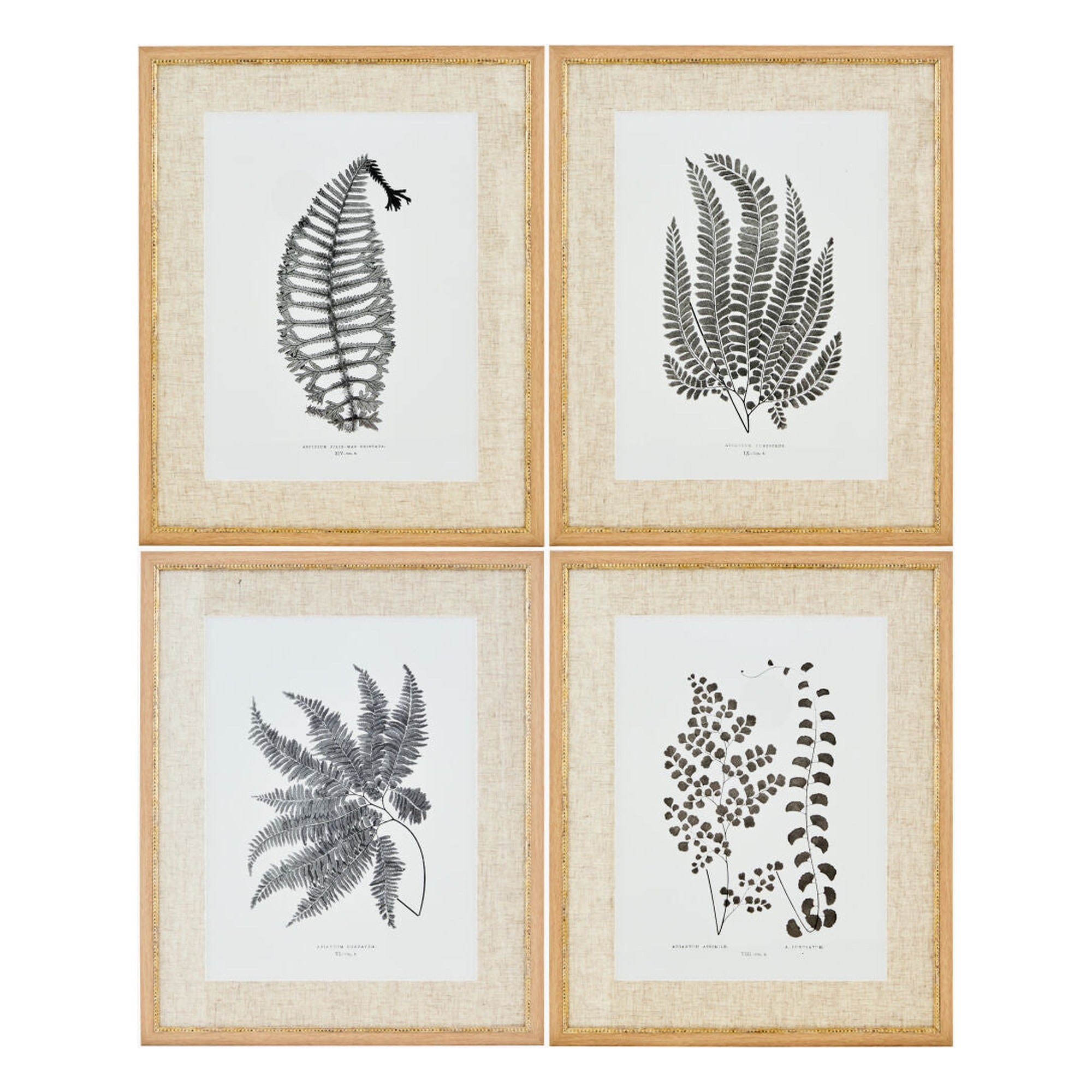 Ferne Framed Art FERNE-002 - 1"H x 17"W x 21"D, 1"H x 17"W x 21"D, 1"H x 17"W x 21"D