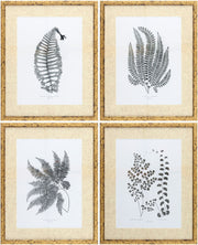 Ferne Framed Art FERNE-003 - 1"H x 17"W x 21"D, 1"H x 17"W x 21"D, 1"H x 17"W x 21"D