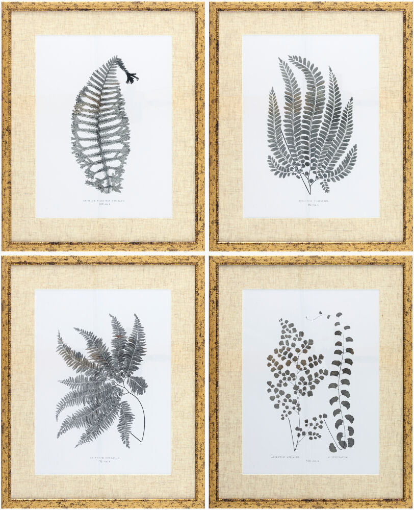 Ferne Framed Art FERNE-003 - 1"H x 17"W x 21"D, 1"H x 17"W x 21"D, 1"H x 17"W x 21"D