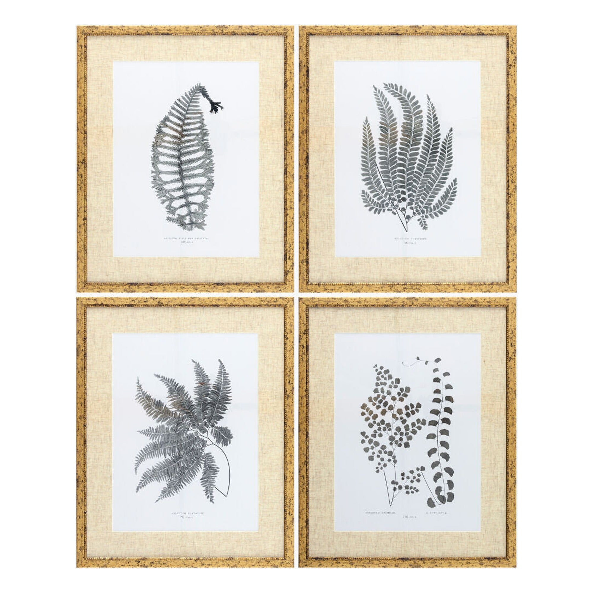 Ferne Framed Art FERNE-003 - 1"H x 17"W x 21"D, 1"H x 17"W x 21"D, 1"H x 17"W x 21"D