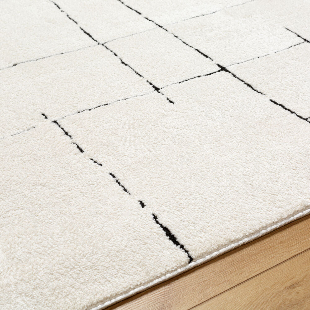 Freud Black/Ivory Machine Woven Rug FEU-2300 - texture