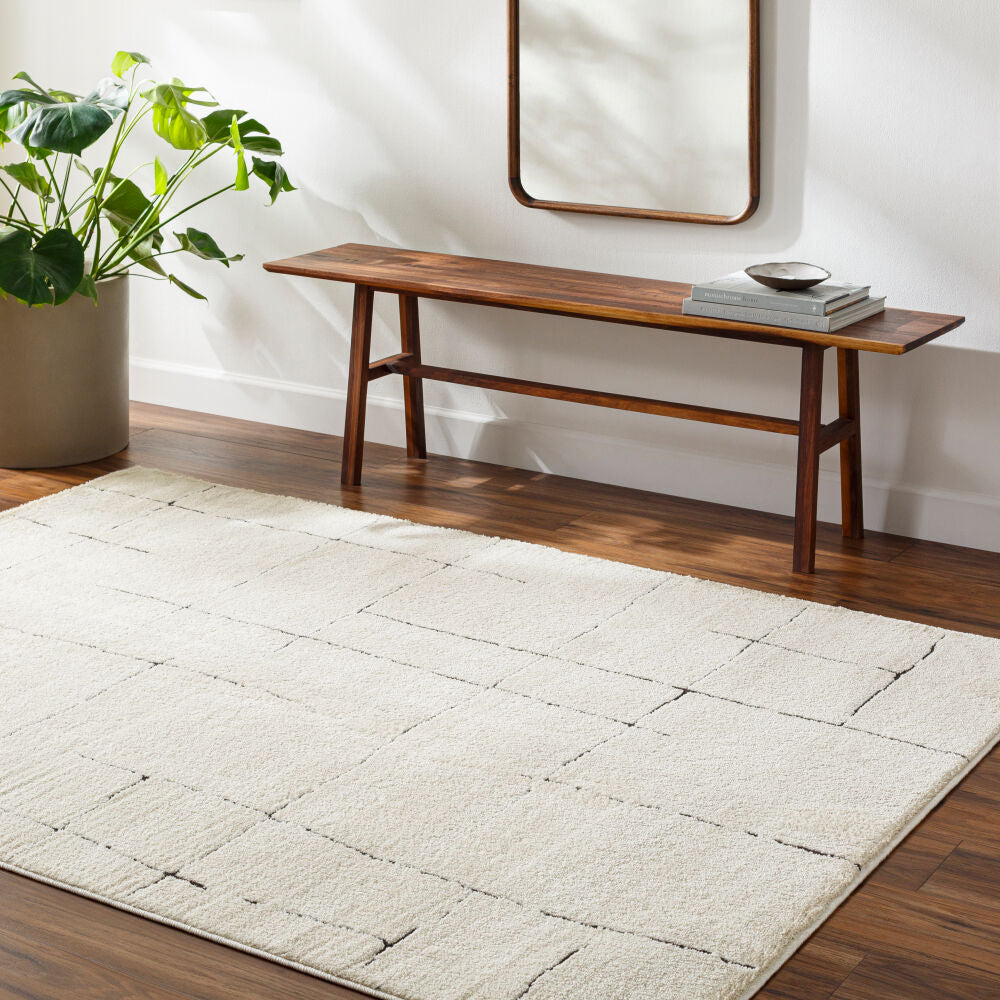 Freud Black/Ivory Machine Woven Rug FEU-2300 - roomscene