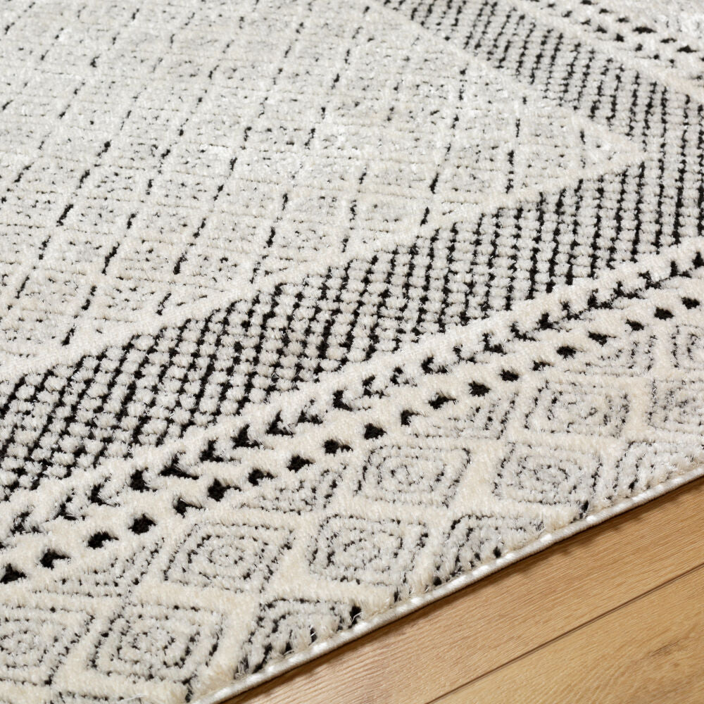 Freud Black/Ivory Machine Woven Rug FEU-2301 - texture