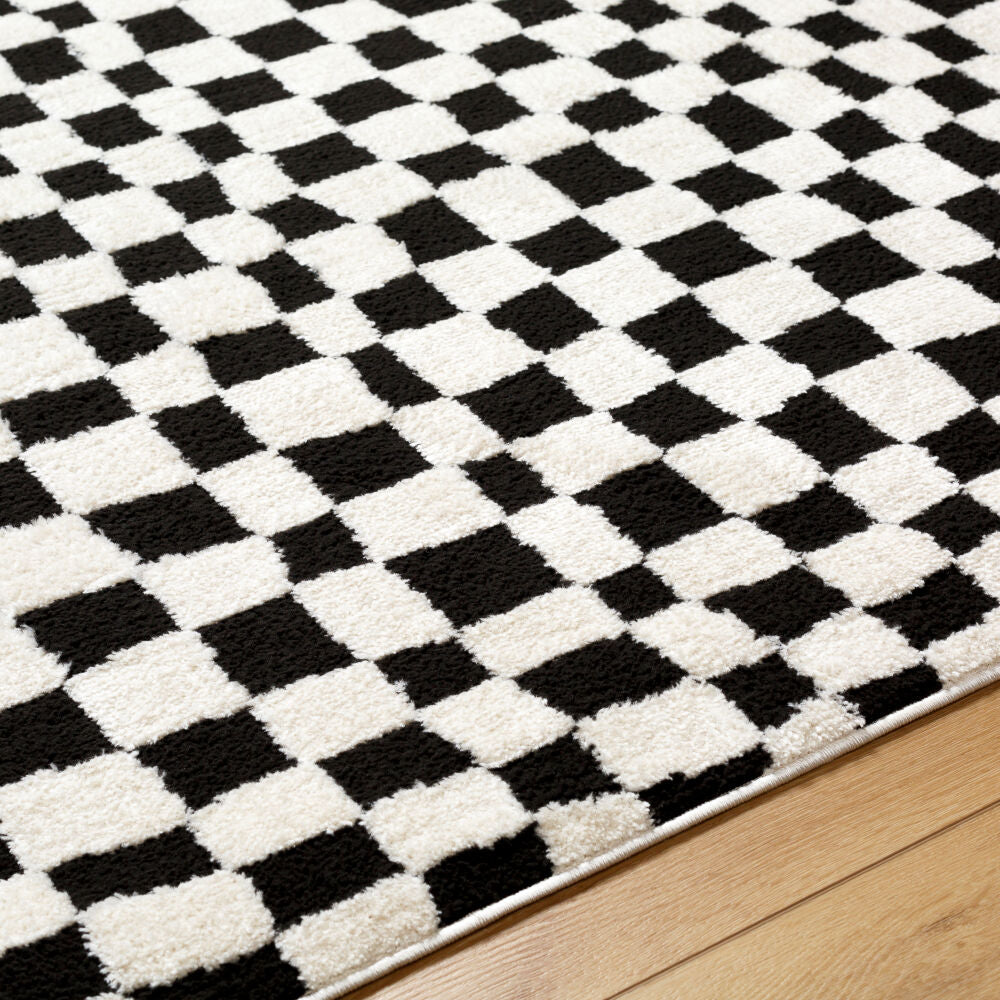 Freud Black/Ivory Machine Woven Rug FEU-2302 - texture