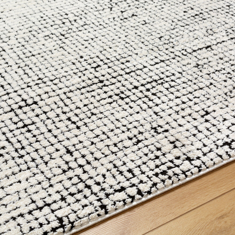 Freud Black/Ivory Machine Woven Rug FEU-2305 - texture