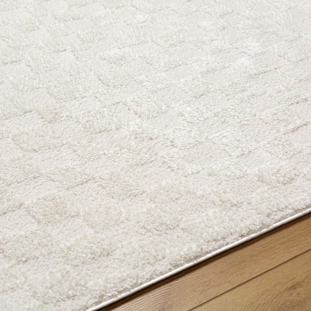 Freud Ivory/Off-White Machine Woven Rug FEU-2306 - texture