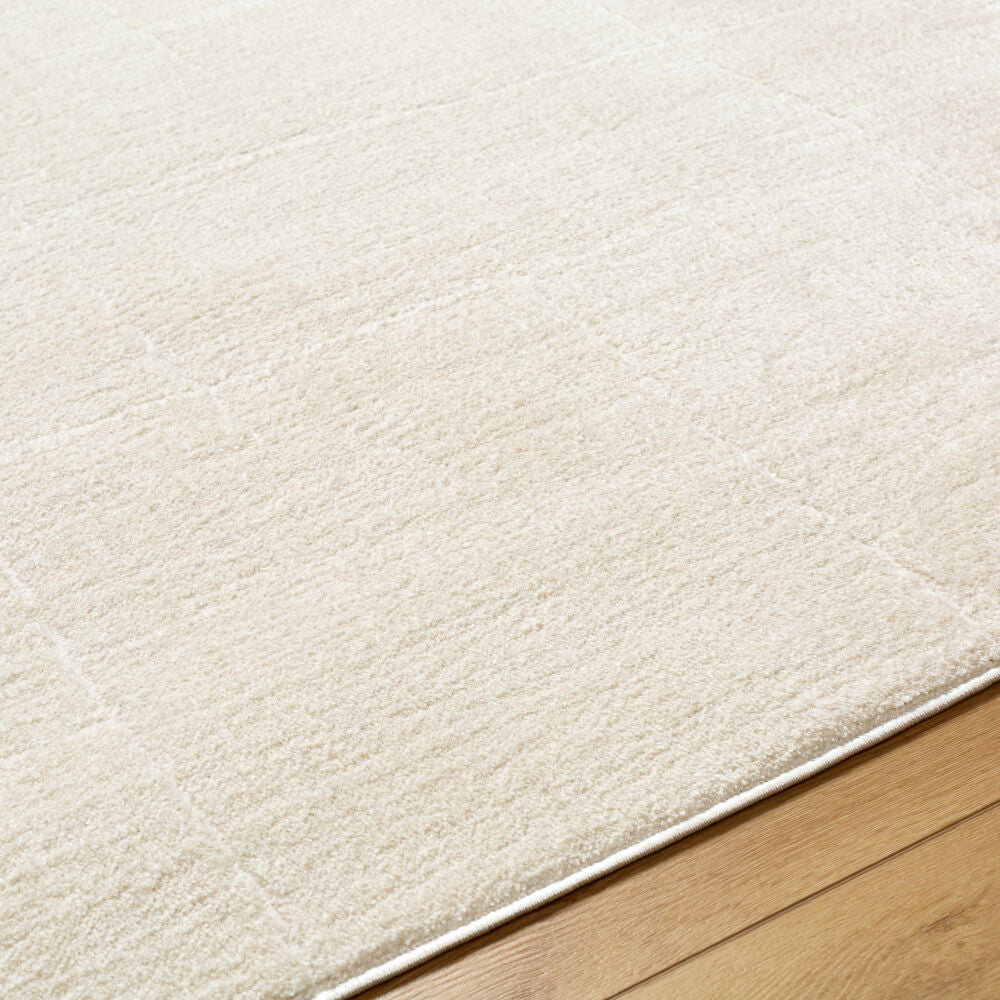 Freud Ivory/Off-White Machine Woven Rug FEU-2311 - texture
