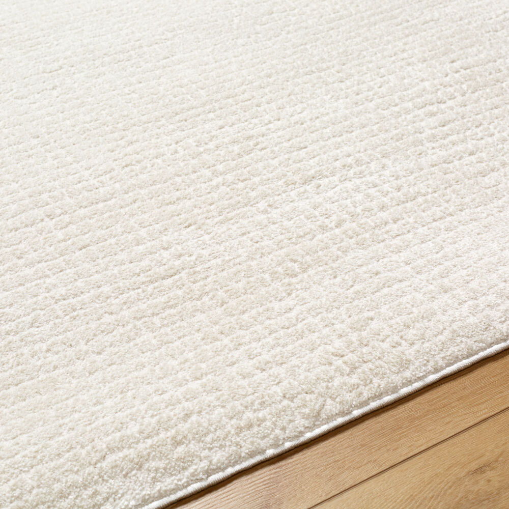 Freud Ivory/Off-White Machine Woven Rug FEU-2319 - texture