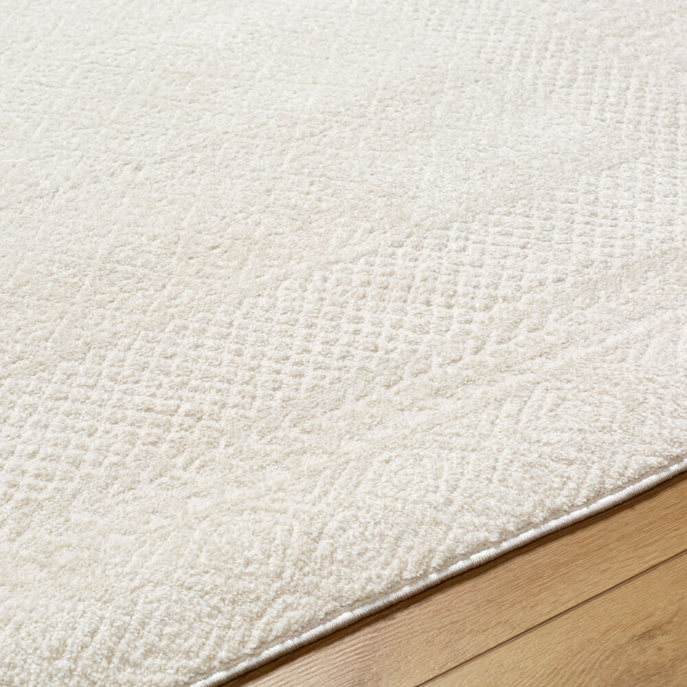 Freud Ivory/Off-White Machine Woven Rug FEU-2321 - texture