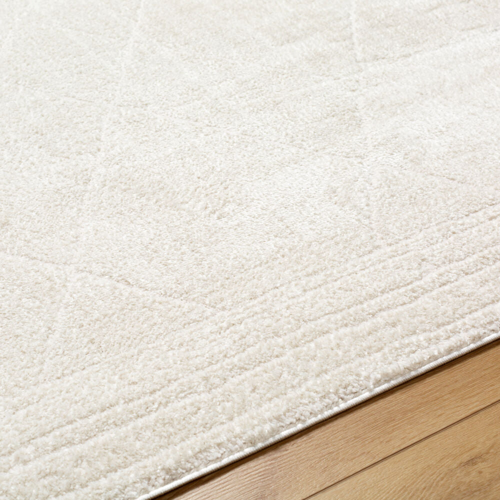 Freud Ivory/Off-White Machine Woven Rug FEU-2324 - texture
