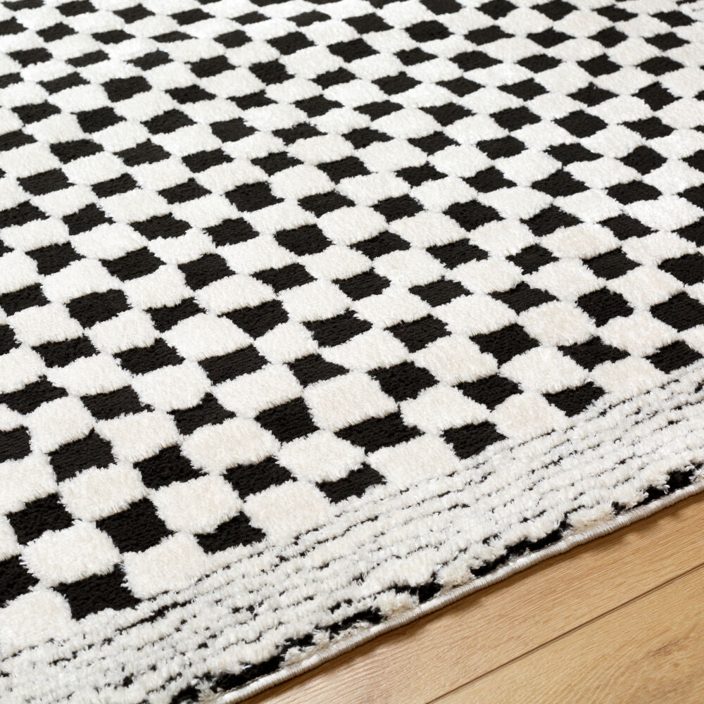 Freud Black/Ivory Machine Woven Rug FEU-2325 - texture