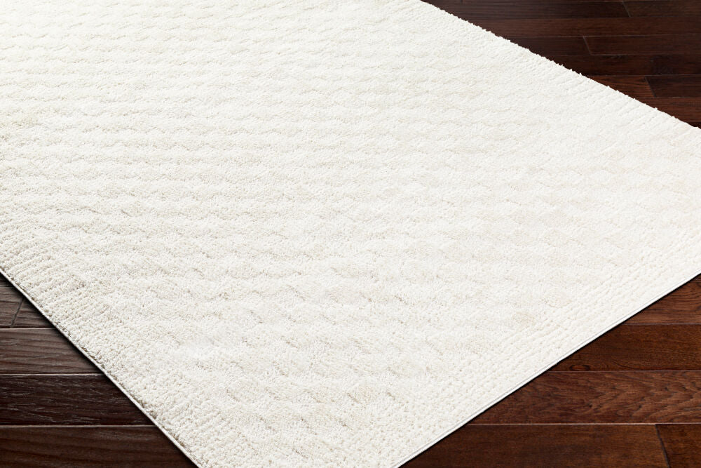 Freud Ivory/Off-White Machine Woven Rug FEU-2327 - corner