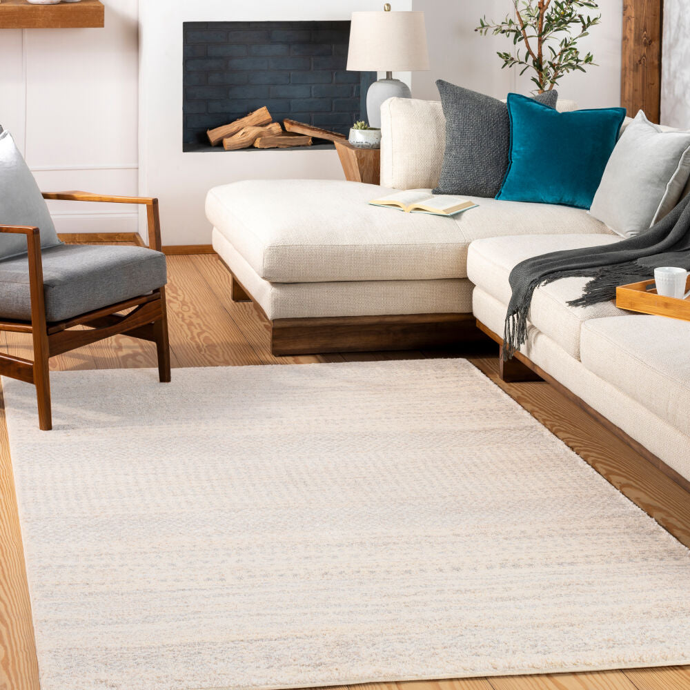 Fowler Light Brown/Light Gray Machine Woven Rug - roomscene